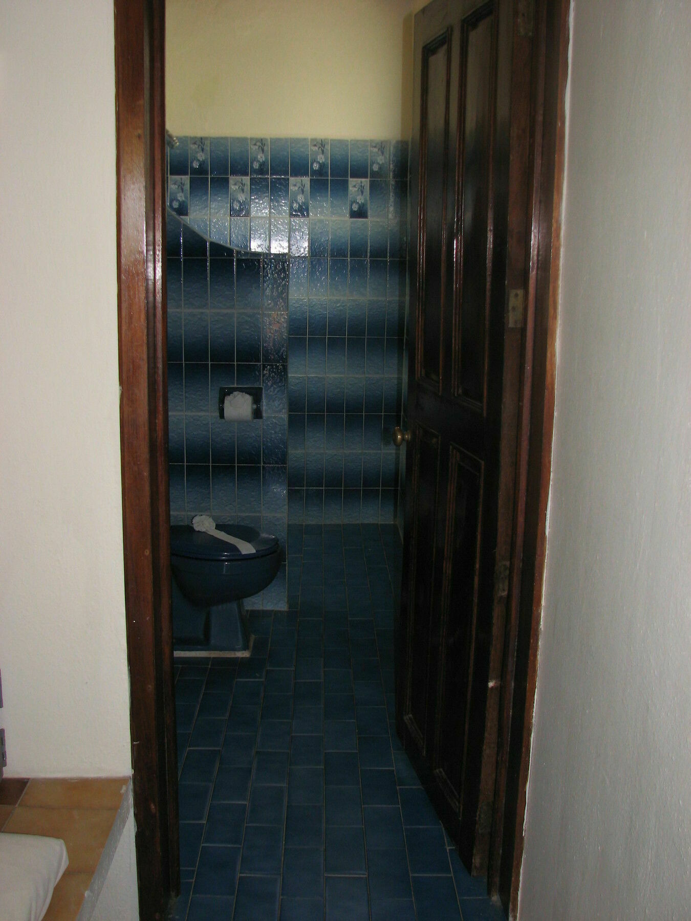 Bungalows El Delfin Rincon de Guayabitos Εξωτερικό φωτογραφία
